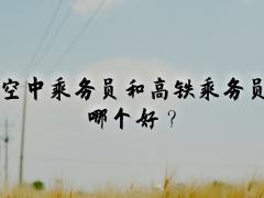 空中乘務(wù)員和高鐵乘務(wù)員哪個(gè)好？