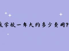 讀空乘學(xué)校一年大約多少費用？