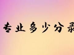 空乘專業(yè)多少分錄??？