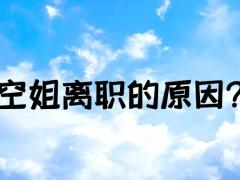 空姐離職的原因？