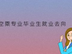 空乘畢業(yè)生可以去高鐵上班嗎？